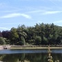 MacclesfieldForest2 * 462 x 349 * (45KB)