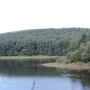 MacclesfieldForest5 * 462 x 349 * (38KB)