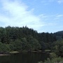 MacclesfieldForest7 * 462 x 349 * (37KB)