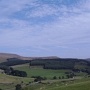 Sutton1 * 462 x 349 * (33KB)