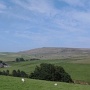 Sutton2 * 512 x 387 * (39KB)